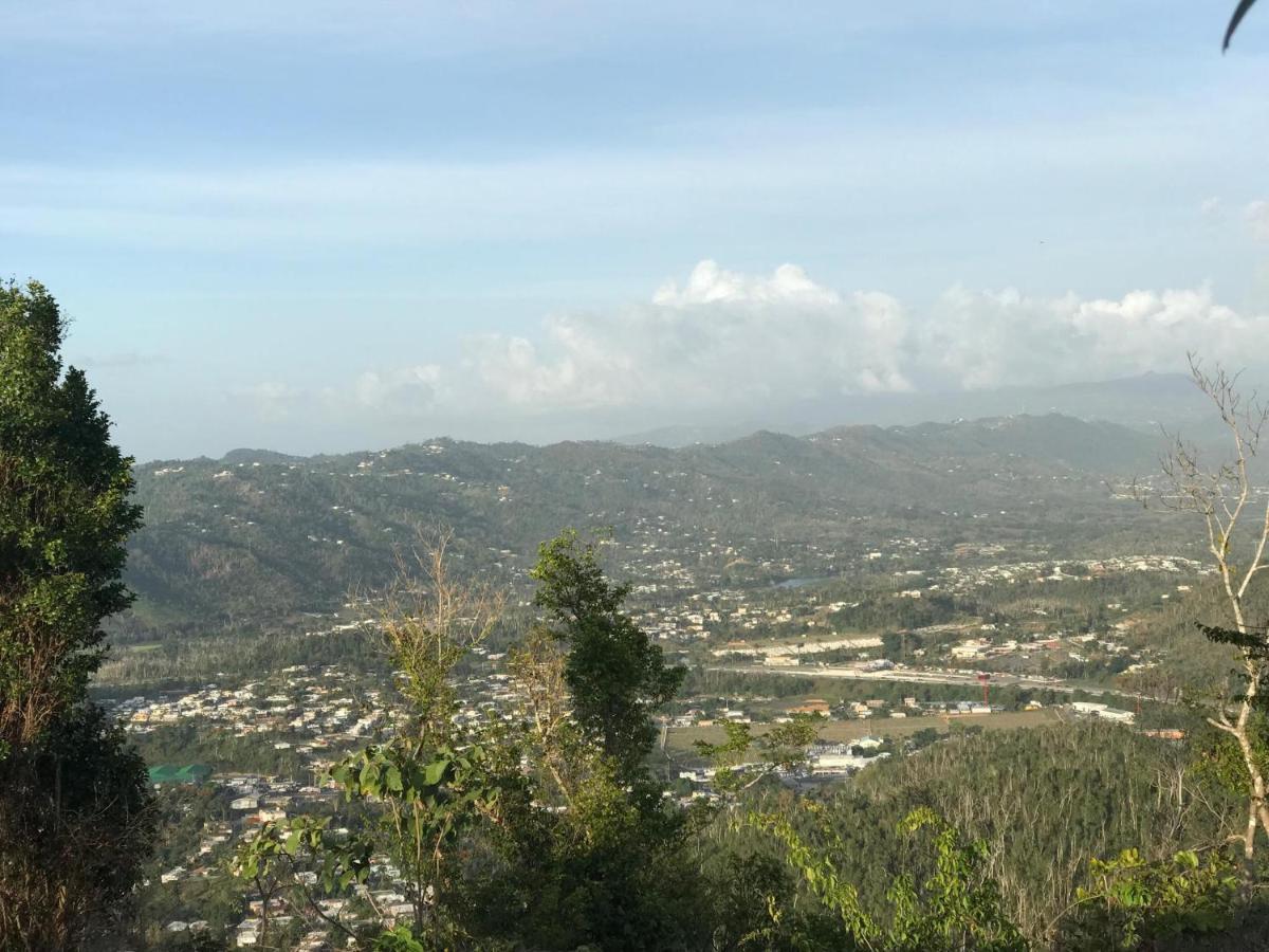 Camping Para Dos - A Escoger Segun Disponibilidad De Caseta O Cabana Caguas Εξωτερικό φωτογραφία